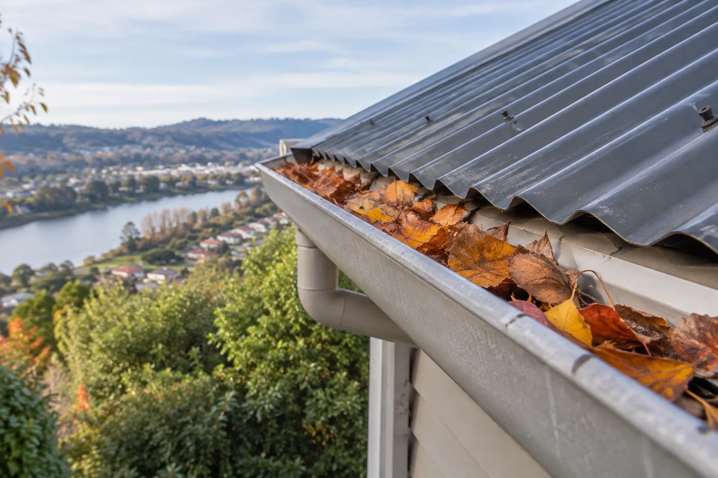 Roofing concept: a gutter with a small accumulation of autumn leaves at the eaves