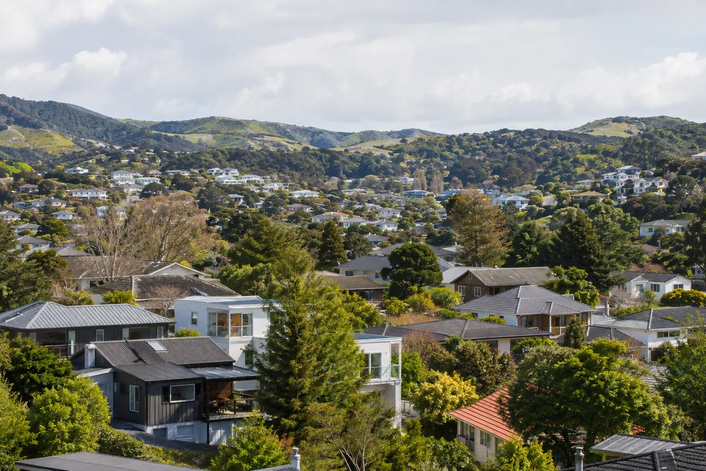 Illustrative New Zealand roofing scene