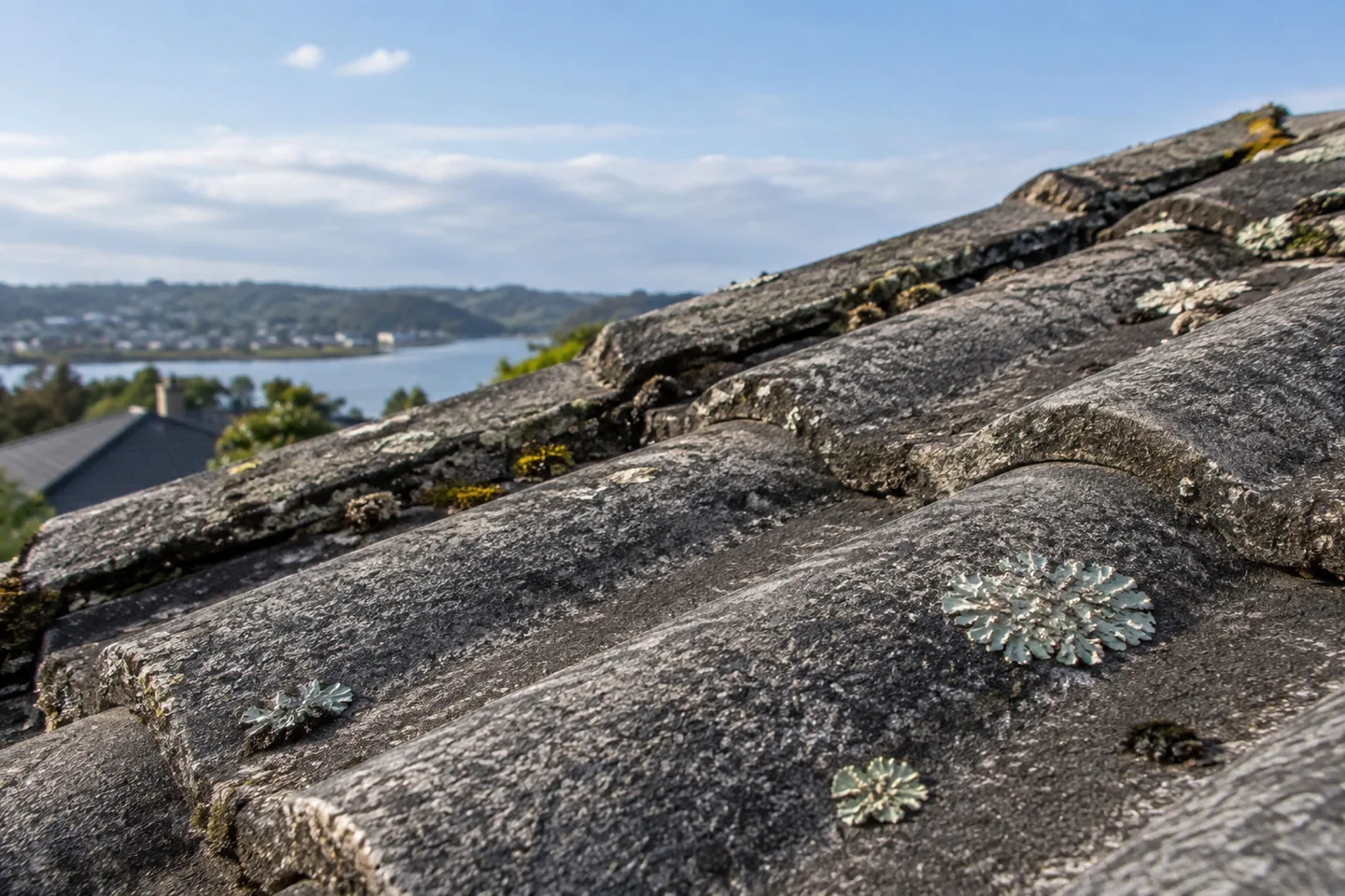 Roofing concept: close view of small patches of lichen on an older roof